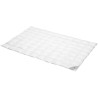 SPESSARTTRAUM leichtes Daunenbett Sommerdecke 90% Daune 135x200
