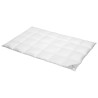 SPESSARTTRAUM Daunenbett 3 cm Innensteg warm 100% Daunen 240x220