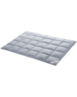 Produktabbildung SPESSARTTRAUM exklusive Wildenten Duo Daunendecke warm 200x200