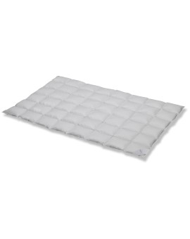 Produktabbildung SPESSARTTRAUM exklusive Wildenten Daunendecke medium 135x200