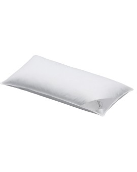 Produktabbildung SPESSARTTRAUM 3-Kammer-Kopfkissen Daunen und Federn medium 40x80