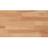 HASENA Kommode Sideboard Ina 2 Schubladen und Fach Kernbuche (80)